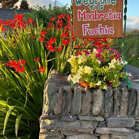 شقة Tig Fuchia
