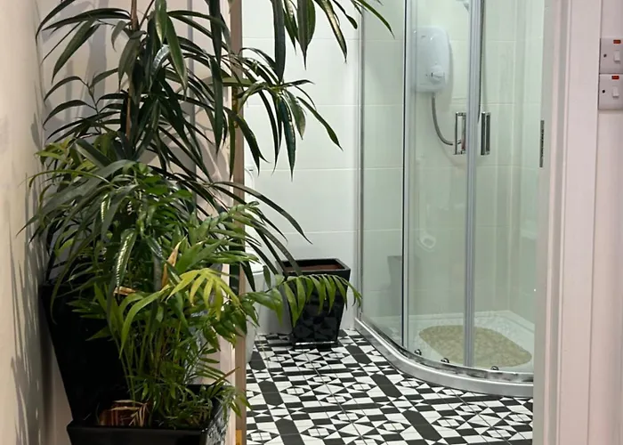 Tig Fuchia Doonsheane