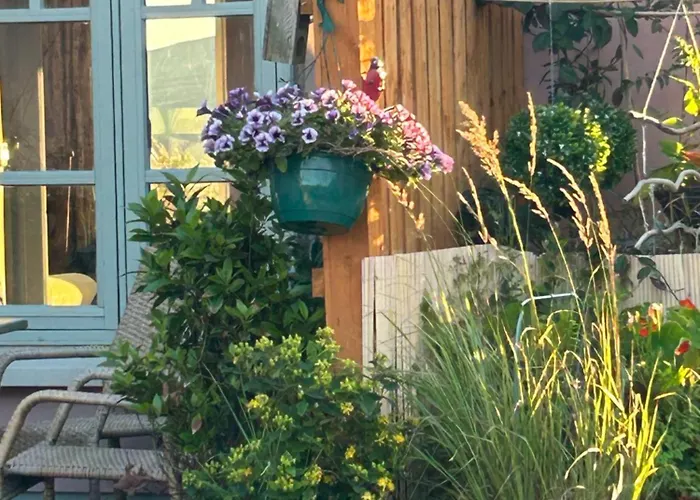 Tig Fuchia Апартаменты Doonsheane