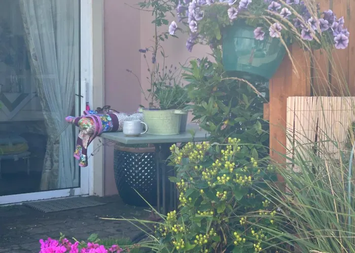 Tig Fuchia Doonsheane