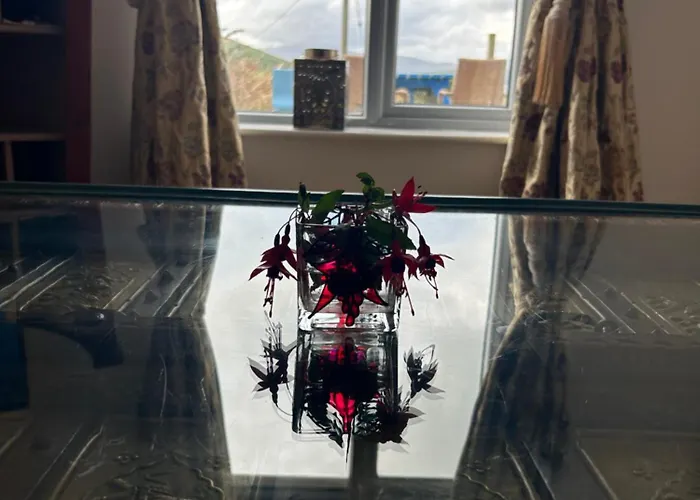 Tig Fuchia Doonsheane