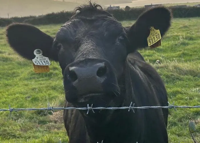 Tig Fuchia Апартаменты *